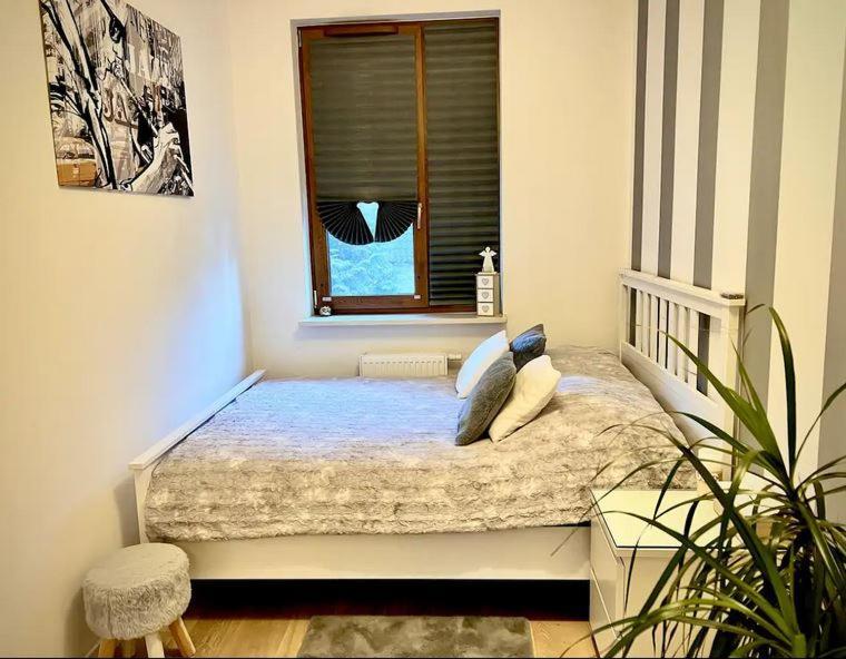 Apartment Jazz 孔斯坦杰那 外观 照片